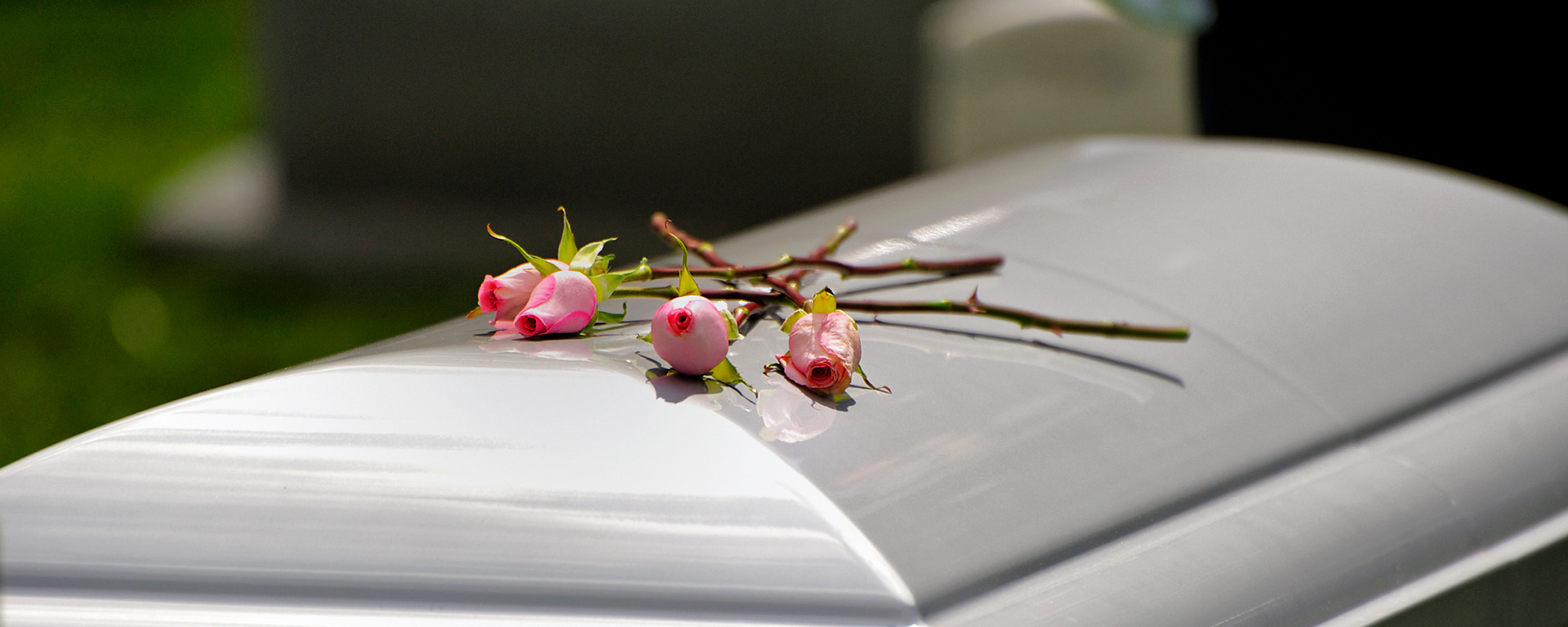 Casket with three pink roses on top 