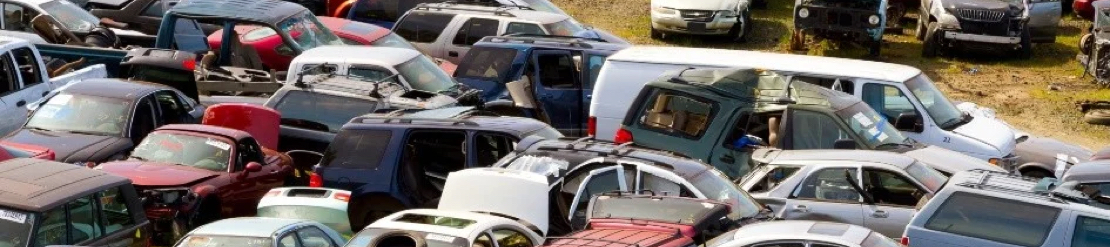 auto_recycling