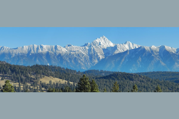 Kodiak picture of the rocky mountains in Cranbrook