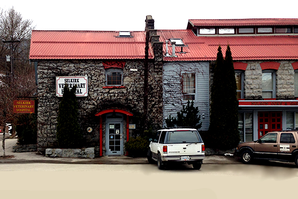 Exterior building for Selkirk Veterinary Hospital