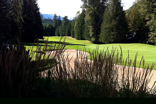 Outside picture of a golf course