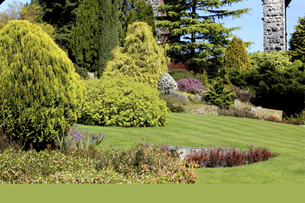 outdoor landscaped yard with trees, shrubs, and plants
