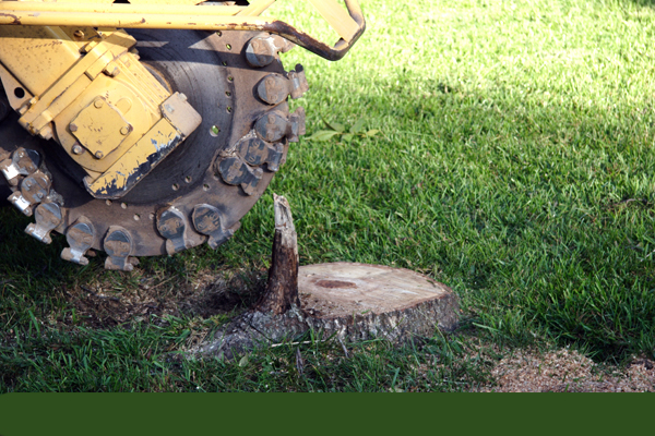 motorized equipment used for stump grinding and removal