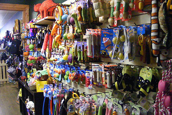 An array of pet products and toys displayed on the wall at The Paw Shop 
