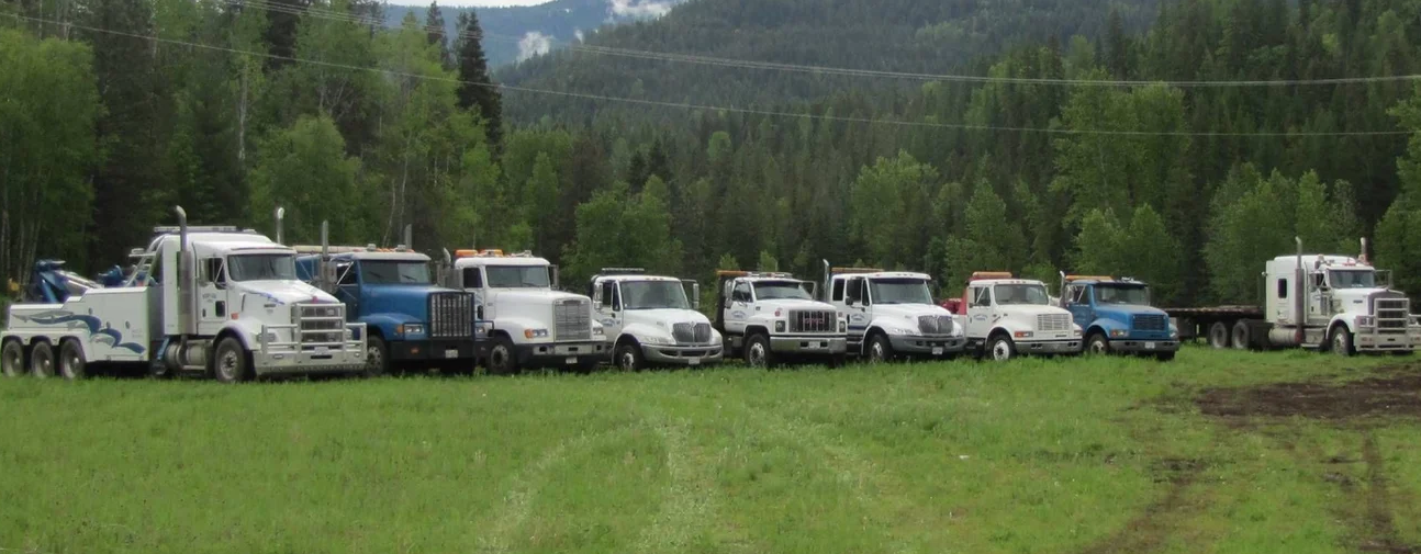 Scrap King in Salmo, with their fleet of tow trucks in a field 